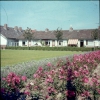 Berlagehof_-_Boerderijwoningen_-_1962.jpg