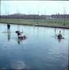 Van_Tienhovengracht_-_apr_1963-b.jpg